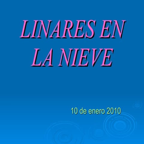 Linares En La Nieve 2010