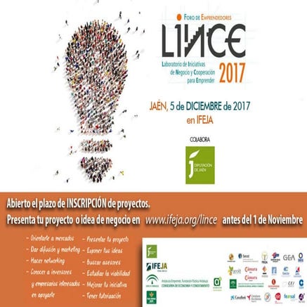 Lince 2017