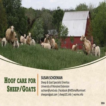 Hoof Care of Sheep/Goats