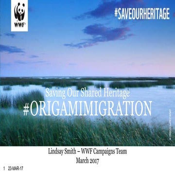 #OrigamiMigration - Lindsay Smith, WWF UK