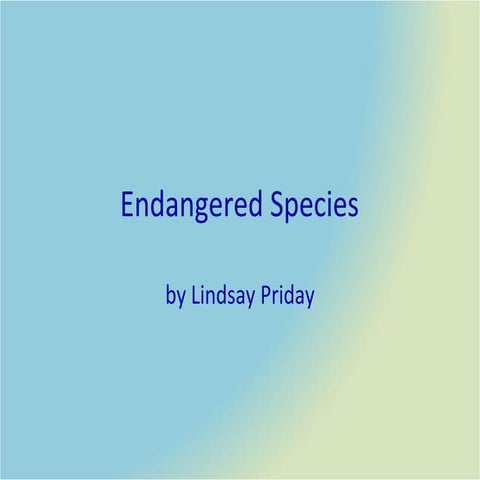 Lindsays Technolgy Pp