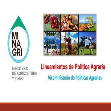 Linea politica-agraria-viceministro
