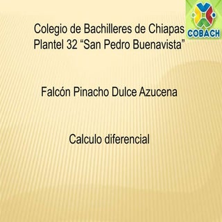 aportaciones al calculo 