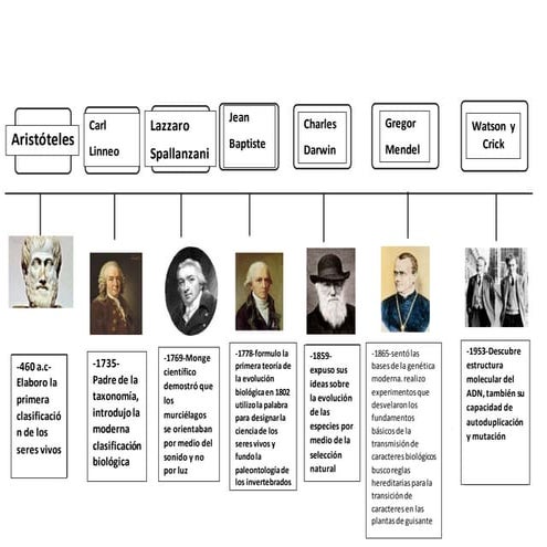 96300193 linea de tiempo historia de la biologia