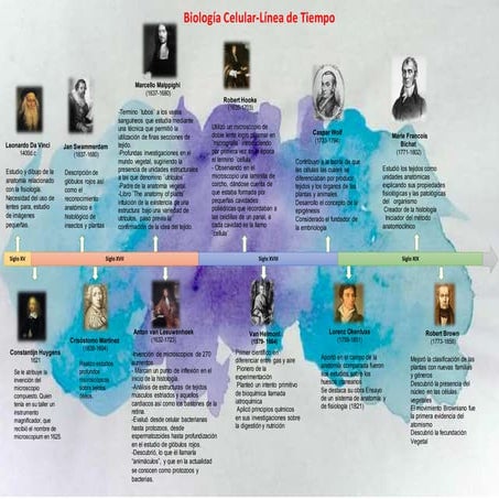 96300193 Linea De Tiempo Historia De La Biologia Fran - vrogue.co