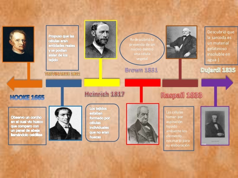 Linea Del Tiempo De La Teoria