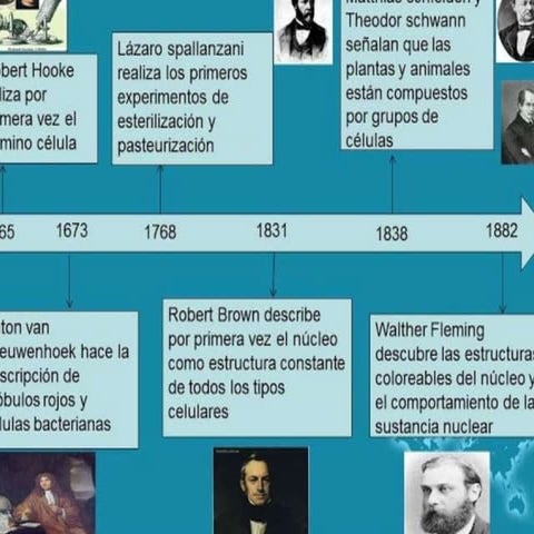 Linea de tiempo teoría celular.