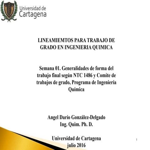 Lineamientos trabajo de grado en Ingeniería Química