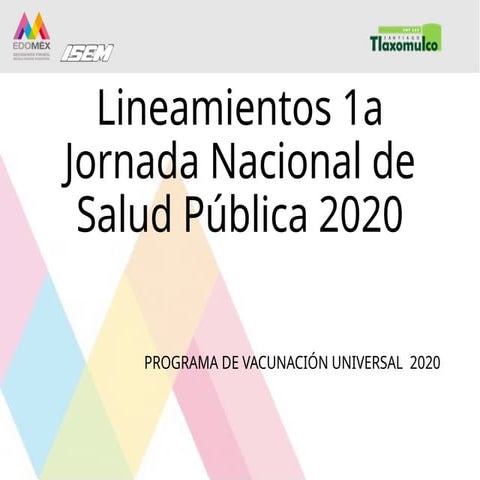 INSTRUCTIVO LLENADO FORMATO RAIS MED PRE | PDF
