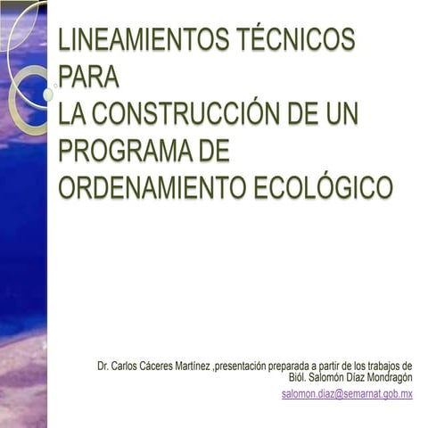 Lineamientos Tecnicos