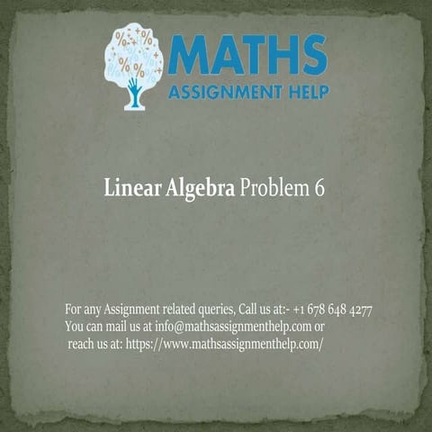 Linear Algebra Assignment Help