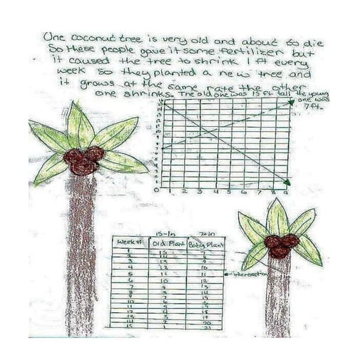 Linear equation posters