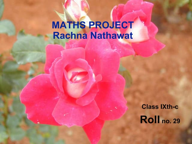 Linear equations inequalities and applications