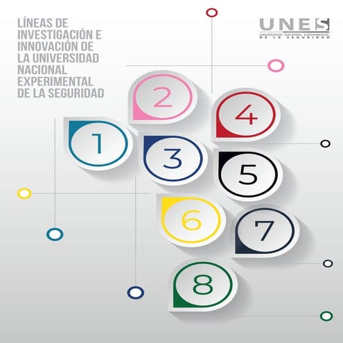 LINEAS DE INVESTIGACION UNES .pdf