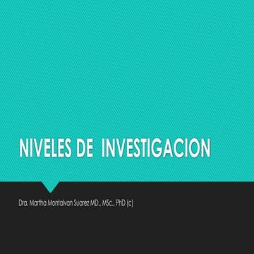 _LINEA Y NIVELES DE  INVESTIGACION. pptx (1).pptx