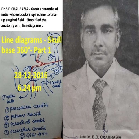 Line diagrams - skull base 360 - part 1