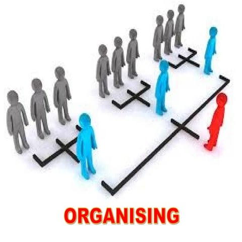 Line&Staff function of HR management.ppt