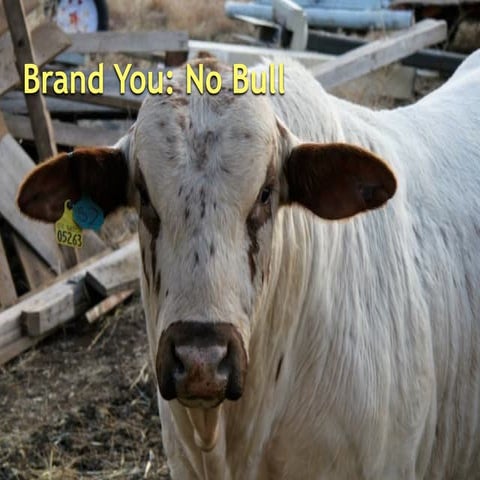 Brand You: No Bull