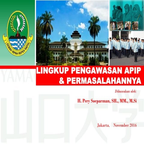 Lingkup pengawasan apip