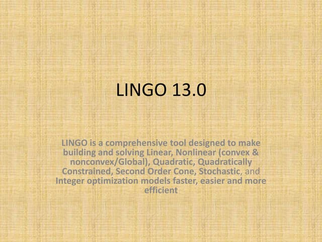 LINGO 13 & LINDO API Software