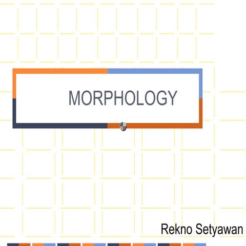 Morphology