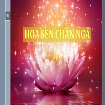 Hoa Sen Chân Ngã 
