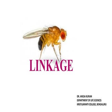 GENETIC LINKAGE - TYPES OF LINKAGE, LINKAGE GROUPS