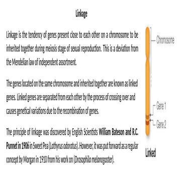 GENETIC LINKAGE - TYPES OF LINKAGE, LINKAGE GROUPS | PDF
