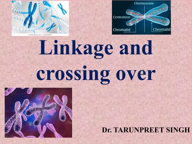 linkage-and-crossing-over.pdf