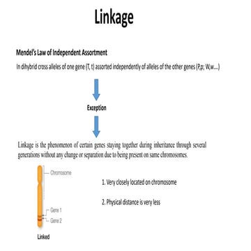 Linkage_Crossing_over.pptx