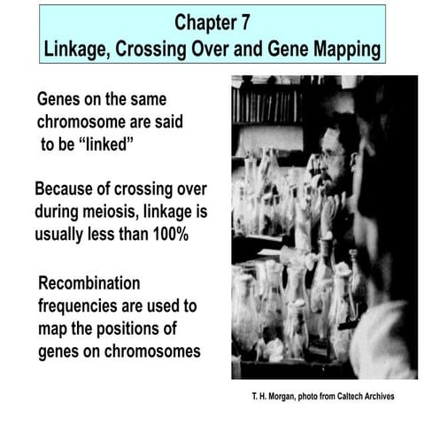 Linkage crossing over and its genetics characteristics of crossing over ...