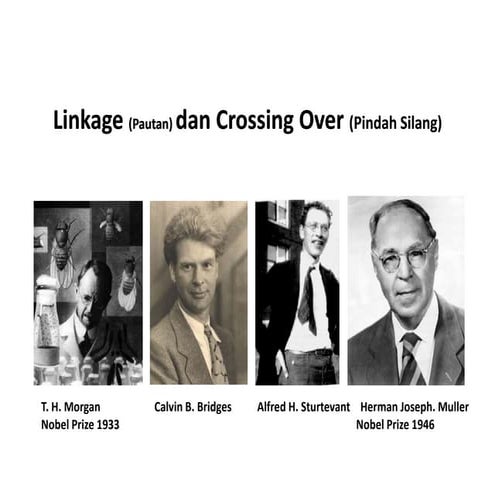 Linkage dan dan crossing over