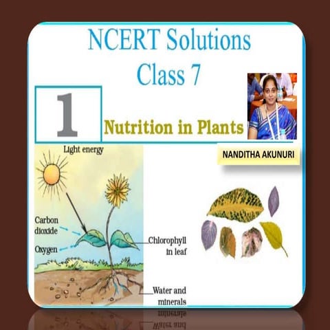 NUTRITION IN PLANTS-1 (CLASS-VII) CBSE
