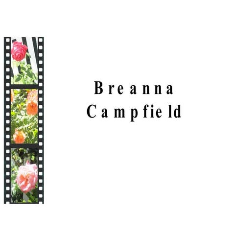 Breanna Campfield\'s Portfolio
