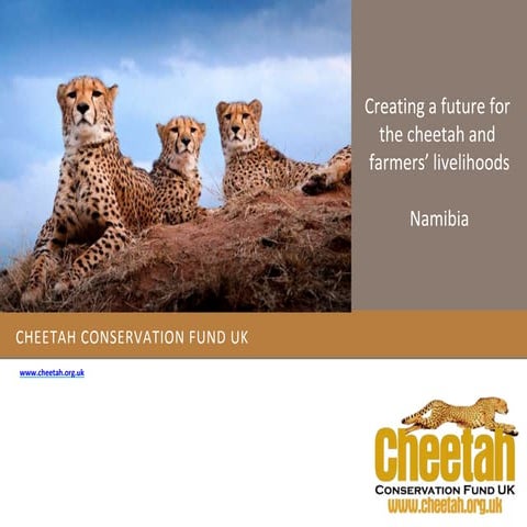 Creating a future for the cheetah and farmers’ livelihoods