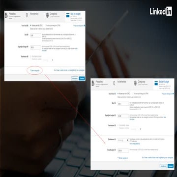 Linkedin Campaignmanager