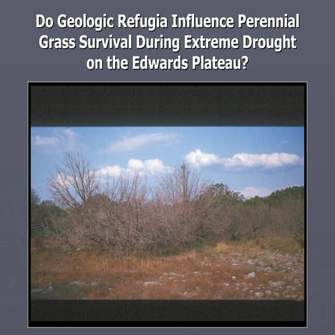 Geologic Refugia and Herbaceous Community Survival During Extreme Drought