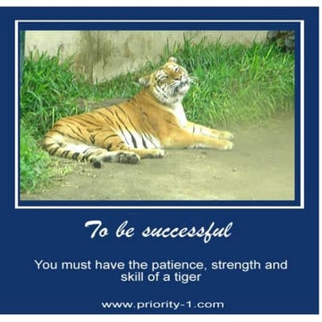 Linkedin Marketing Presentation by Felix Focus Fianu, Volta, Ghana