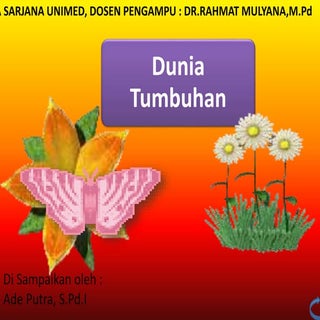 PPT PLANTAE ADE PUTRA