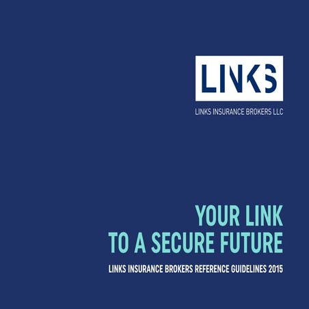 Links Insurance Brokers LLC brandbook