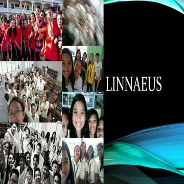 Small glimpse of Linnaeus