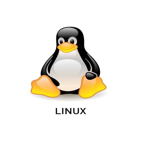 Linux