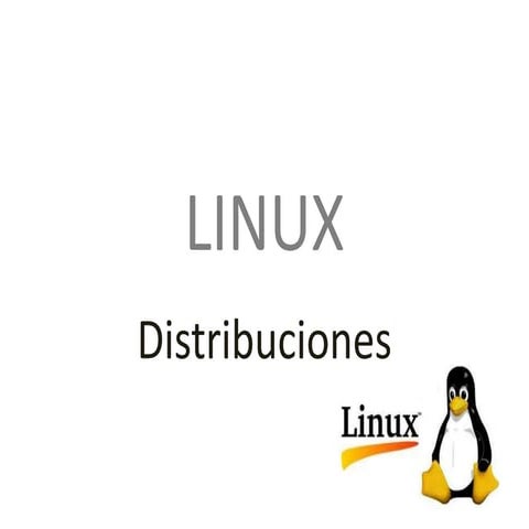 Vector linux | PPTX