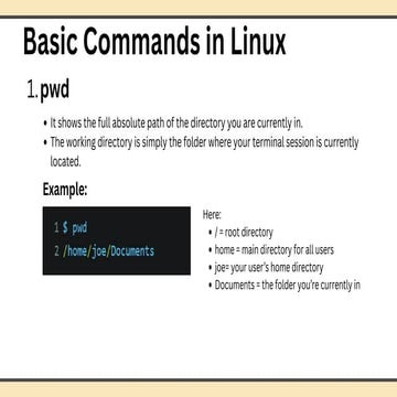 Comprehensive Guide to Basic Linux Commands for Beginners | PDF