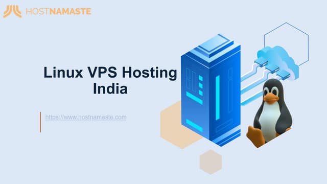 Linux VPS Hosting India