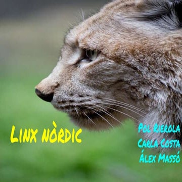 Linx nòrdic 1r ESO LS Manlleu 2016