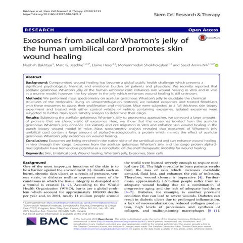 Exosomesfrom whartonsjelly (1)