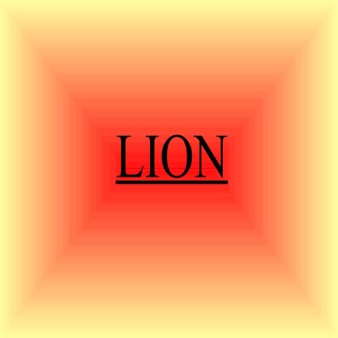 Lion