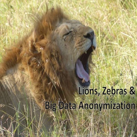 Lions, zebras and Big Data Anonymization