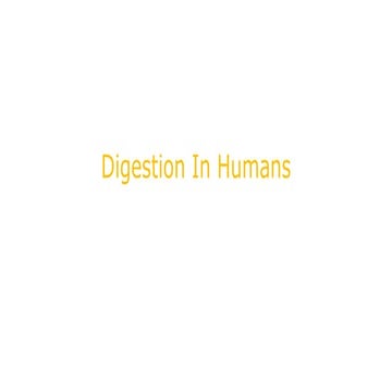 Digestion